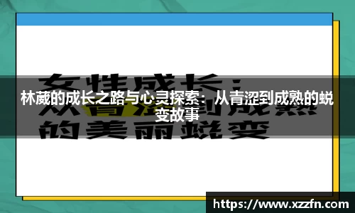 bevictor韦德国际