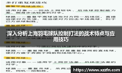 深入分析上海羽毛球队控制打法的战术特点与应用技巧